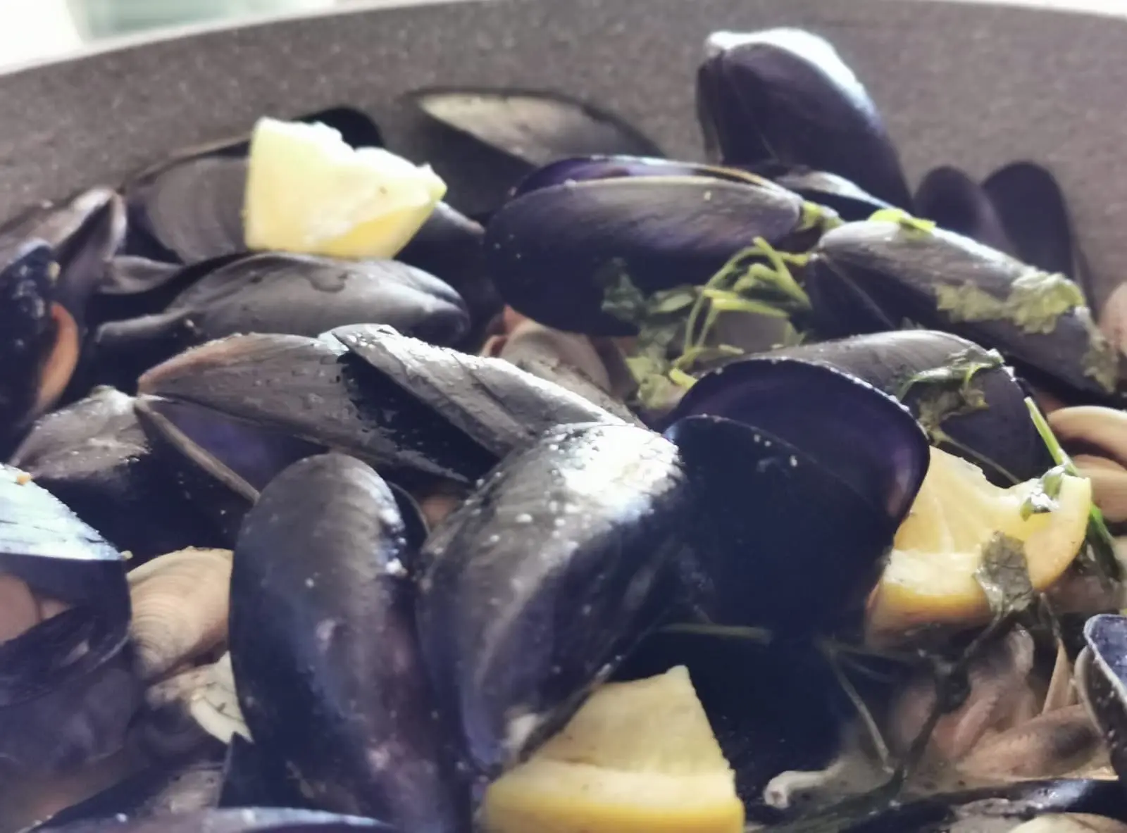 Hotel Miramare Inn Marotta Fano Italy Ristorante All Inclusive (44)